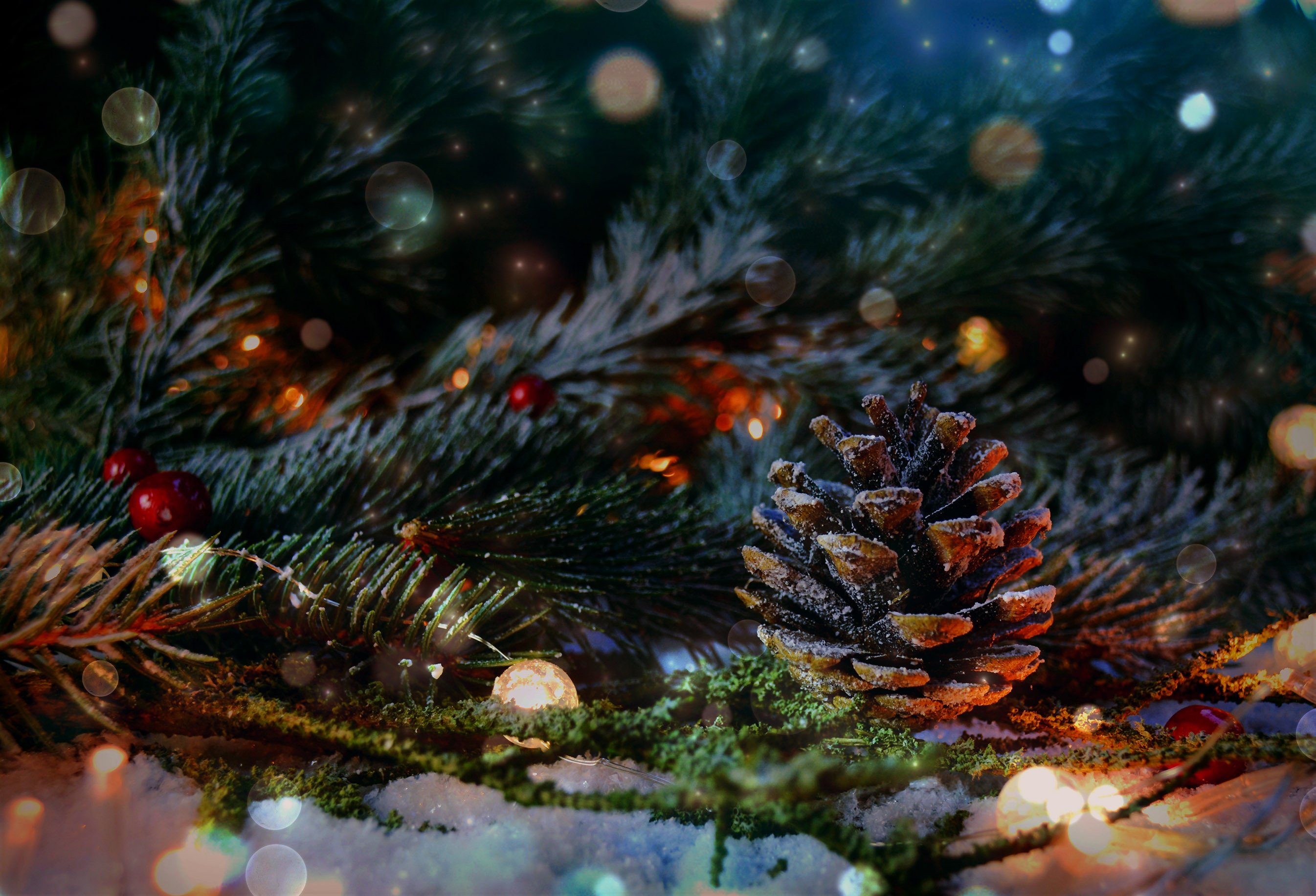 Tannenzweige und Tannenzapfen mit weihnachtlicher Dekoration und Lichterketten, die auf Schnee liegen
